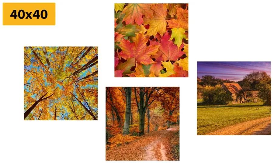 Σετ εικόνων της φύσης στα χρώματα του φθινοπώρου