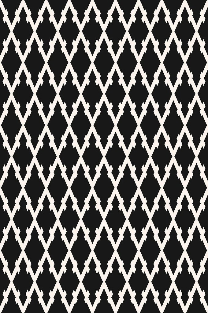 Χαλί EXFAB270 Black-White Conceptum Hypnose 100X150cm