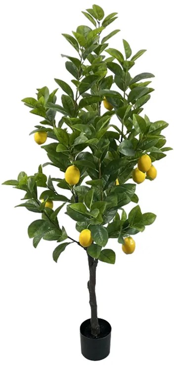Διακοσμητικό φυτό Lemon tree σε γλάστρα Inart πράσινο pp Υ150εκ