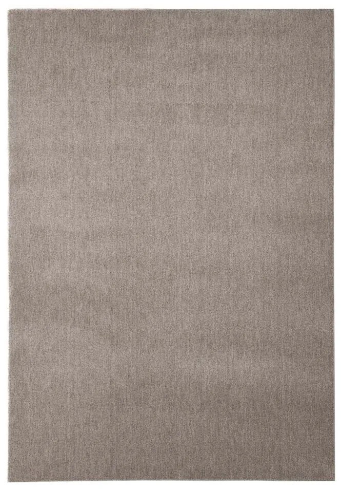 Χαλί Διαδρόμου (80x150) Royal Carpet Feel 71351/067