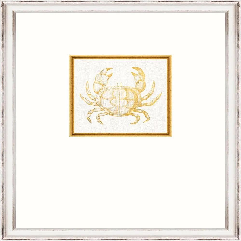 Κάδρο Crab Fa13363 35X45Cm White-Gold Mindthegap Κάθετοι Ξύλο