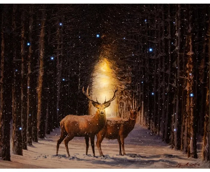 ΠΙΝΑΚΑΣ 1LED+42 FIBER ΤΑΡΑΝΔΟΙ INDOOR CANVAS 38X48CM - 2ΧAA B.O.