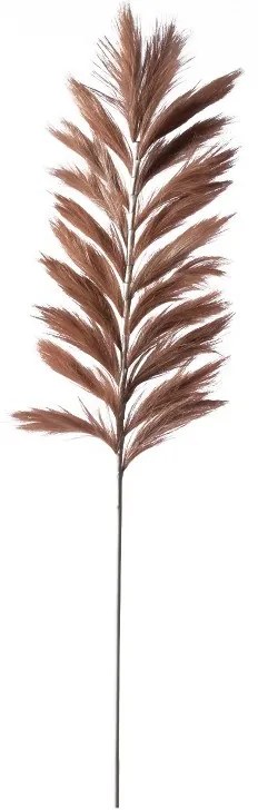 Supergreens Τεχνητό Κλαδί Pampas "Pilosa" Καφέ 120 εκ