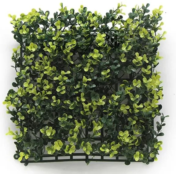 ΠΑΝΕΛ ΦΥΛΛΩΣΙΑΣ BERLIN 50 Χ 50 A003 BUXUS NewPlan