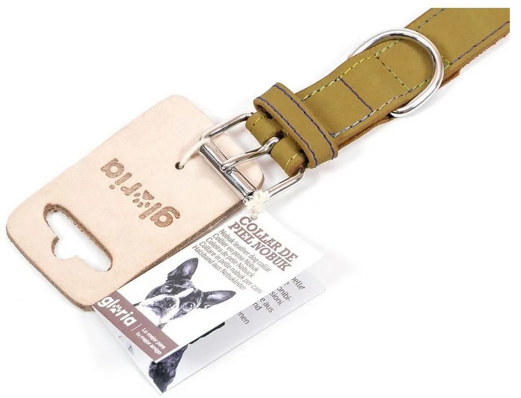 Κολλάρο Σκύλου Gloria Oasis Πράσινο (60 x 3 cm)