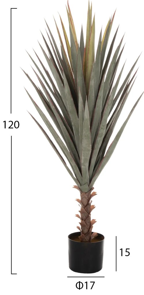 ΔΙΑΚΟΣΜΗΤΙΚΟ ΣΥΝΘΕΤΙΚΟ ΦΥΤΟ HM7987 SISAL AGAVE ΣΕ ΓΛΑΣΤΡΑ 120Υεκ. - 0419642 - HM7987