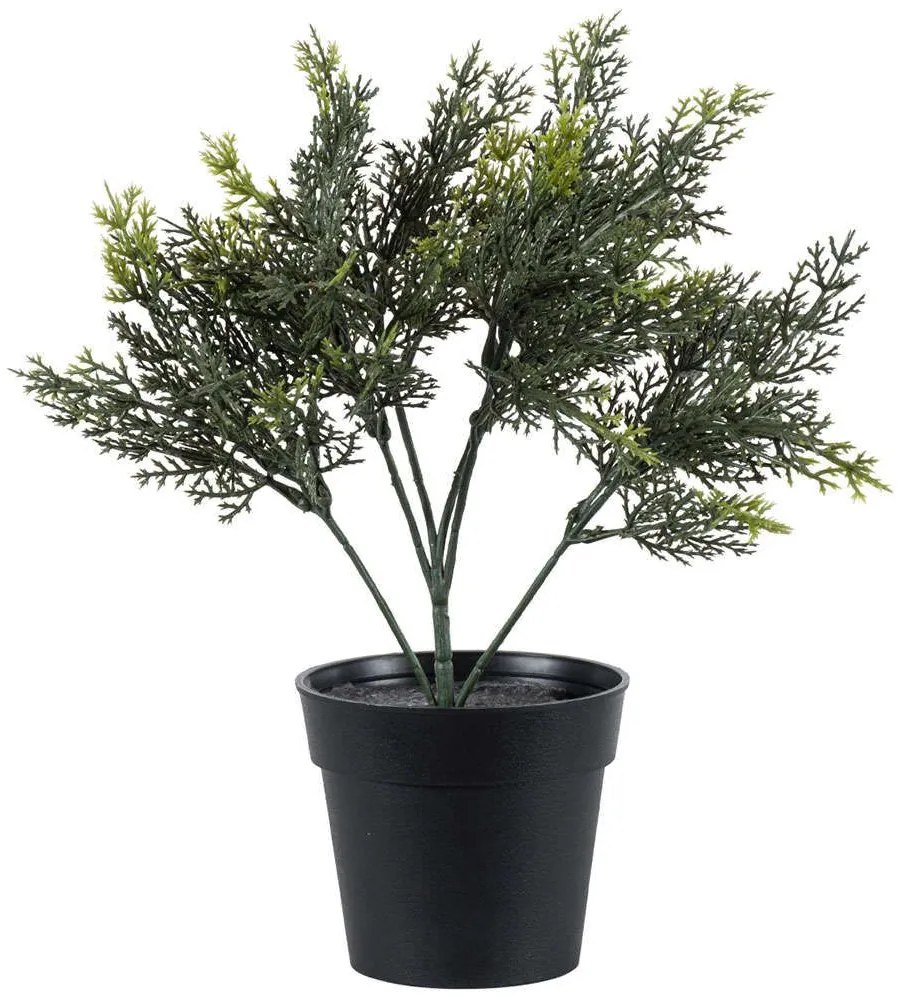 Τεχνητό Φυτό Lemon Cypress 20389 30cm Green Globostar Πολυαιθυλένιο