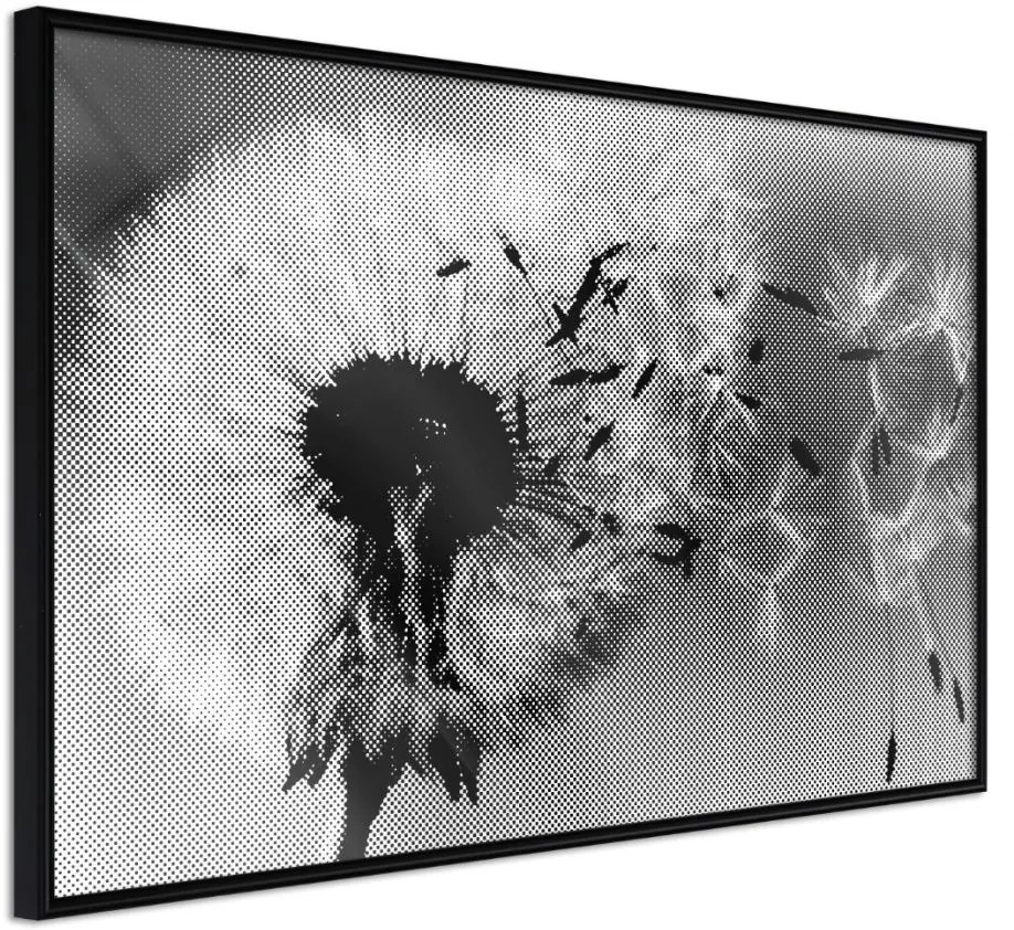 Αφίσα - Dandelion in the Wind - 45x30 - Μαύρο - Χωρίς πασπαρτού