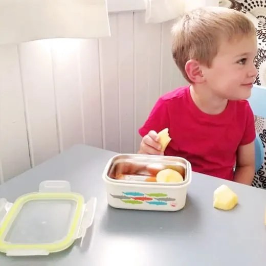 Δοχείο φαγητού Stainless Lunchbox "Alligator Green" Innobaby