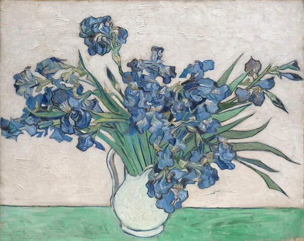 Gogh, Vincent van - Εκτύπωση έργου τέχνης Irises, 1890, (40 x 30 cm)