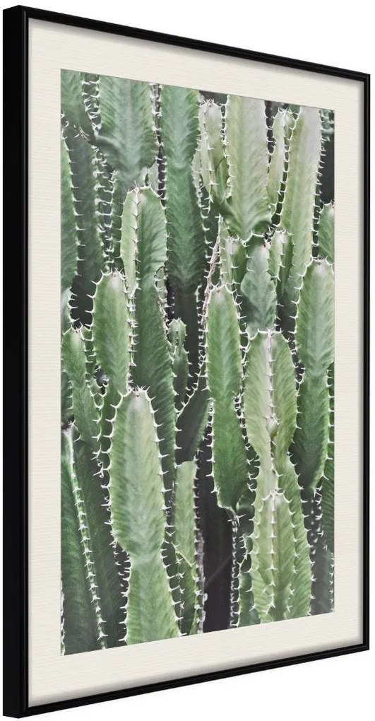 Αφίσα - Cactus Plantation - 20x30 - Μαύρο - Με πασπαρτού