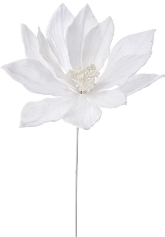 Λουλούδι - Κλαδί Αλεξανδρινό 72553 Φ22x55cm White