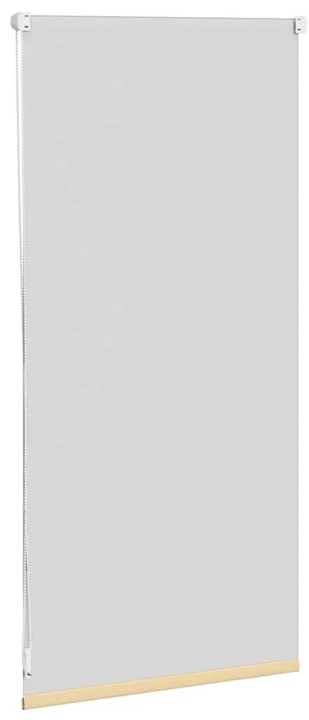 Ρόλερ Σκίασης Blackout Μπεζ 40 x 100 cm