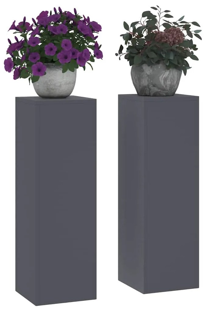 vidaXL Στήριξη φυτών 2 pcs Ανθρακί 24 x 24 x 75 εκ. Ατσάλι