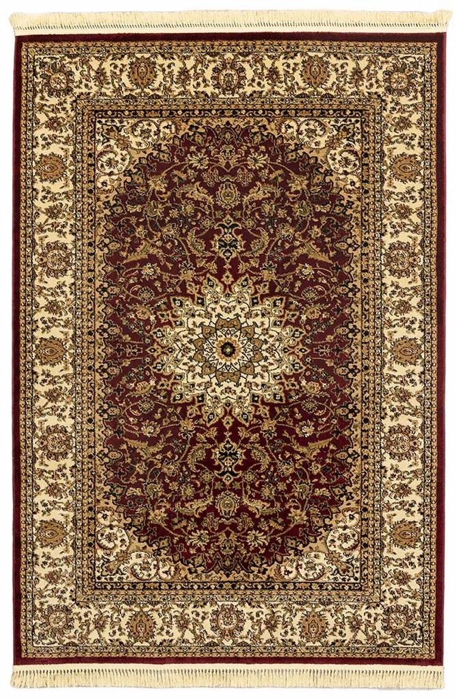 ΧΑΛΙ PERSIA 1019 BURGUNDY ΜΕ ΚΡΟΣΣΙ - 160X230  NewPlan - 5-79-PRS-13345_1019B-160X230