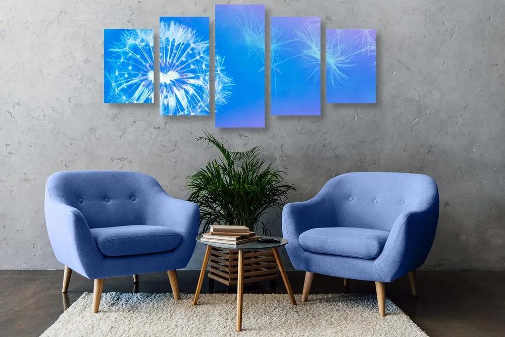 Εικόνα 5 μερών Πικραλίδα σε μπλε φόντο - 100x50