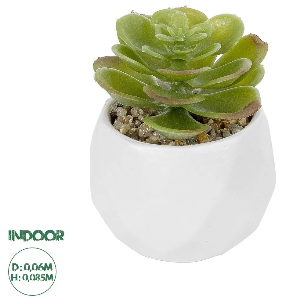 GloboStar® Artificial Garden SUCCULENT ECHEVERIA POTTED PLANT 20991 Διακοσμητικό Φυτό Εχεβέρια Φ6 x Υ8,5cm