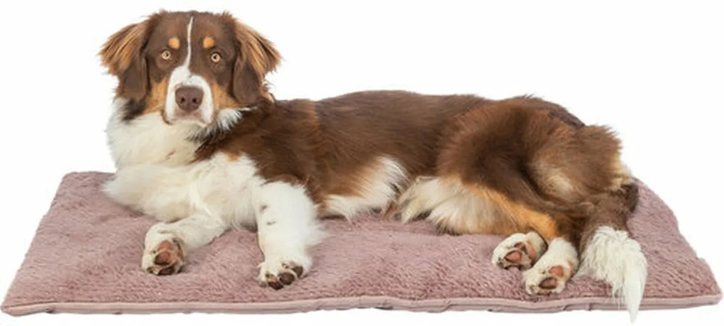 Κρεβάτιγια Σκύλους Trixie Livia Soft Ροζ 90 x 60 cm