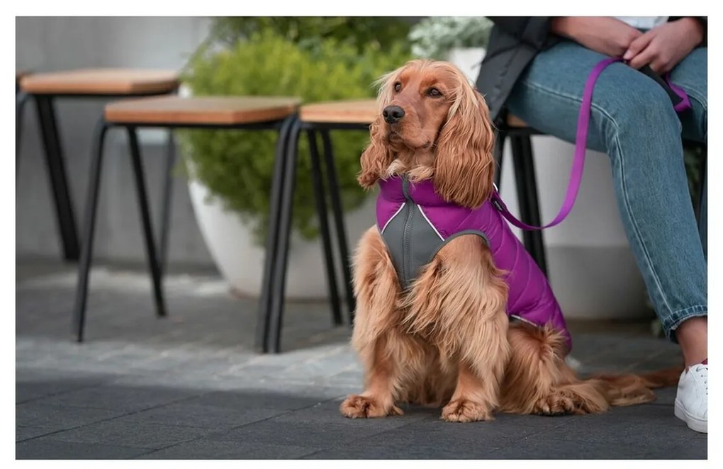 Παλτό Σκύλου Red Dingo Puffer 50 cm Ροζ/Μωβ