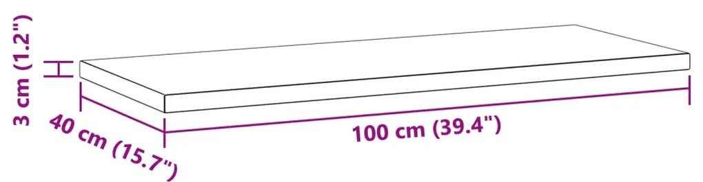 Ράφια Τοίχου 2 τεμ. Ασημί 100x40x3 εκ. Ανοξείδωτο Ατσάλι - Ασήμι