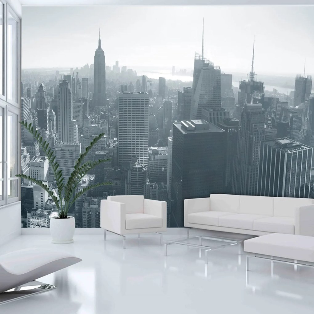 Φωτοταπετσαρία - New York City skyline black and white 250x193