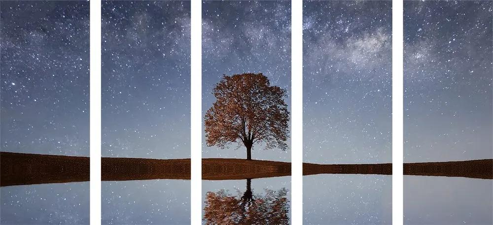 Εικόνα 5 μερών έναστρος ουρανός πάνω από μοναχικό δέντρο - 200x100