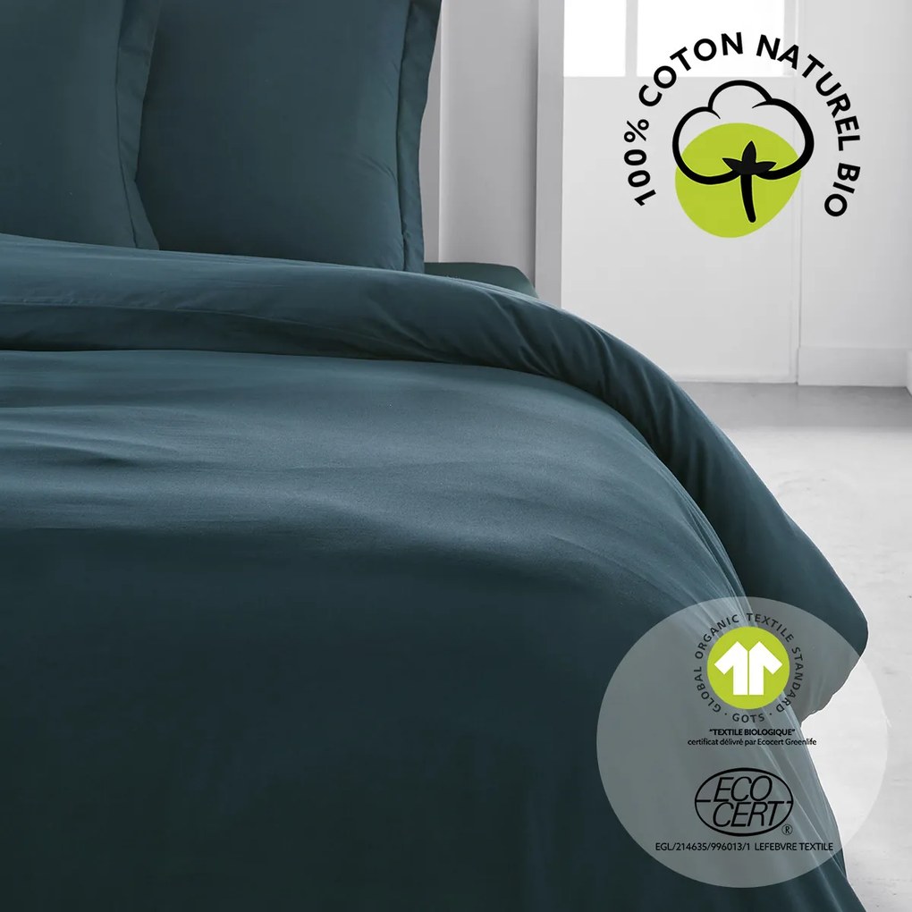 Σετ κλινοσκεπασμάτων Today  HC 220/240 Coton TODAY Organic Paon