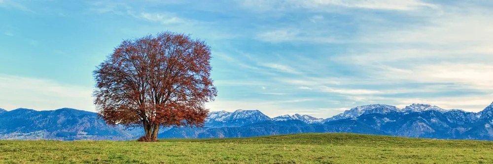 Πανόραμα εικόνας των βουνών - 120x40