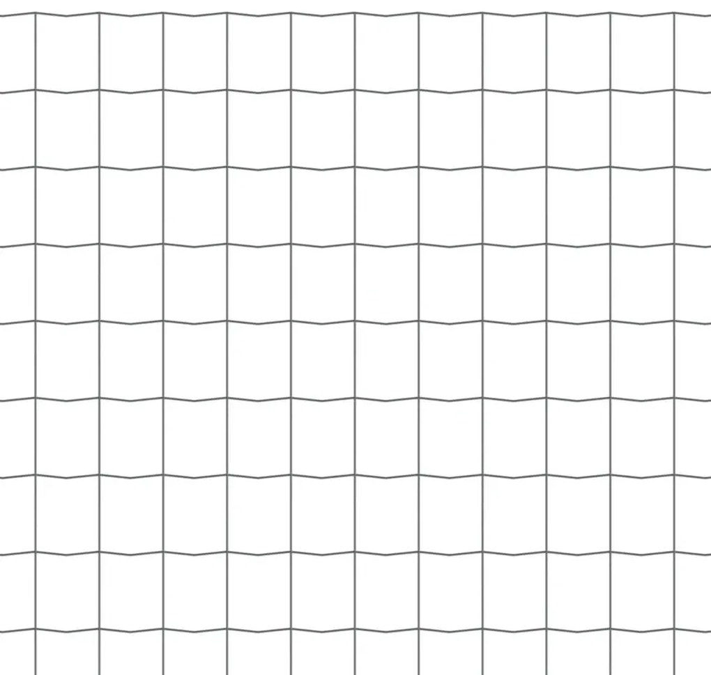 vidaXL Συρματόπλεγμα Γκρι 10 x 0,8 μ. Ατσάλινο