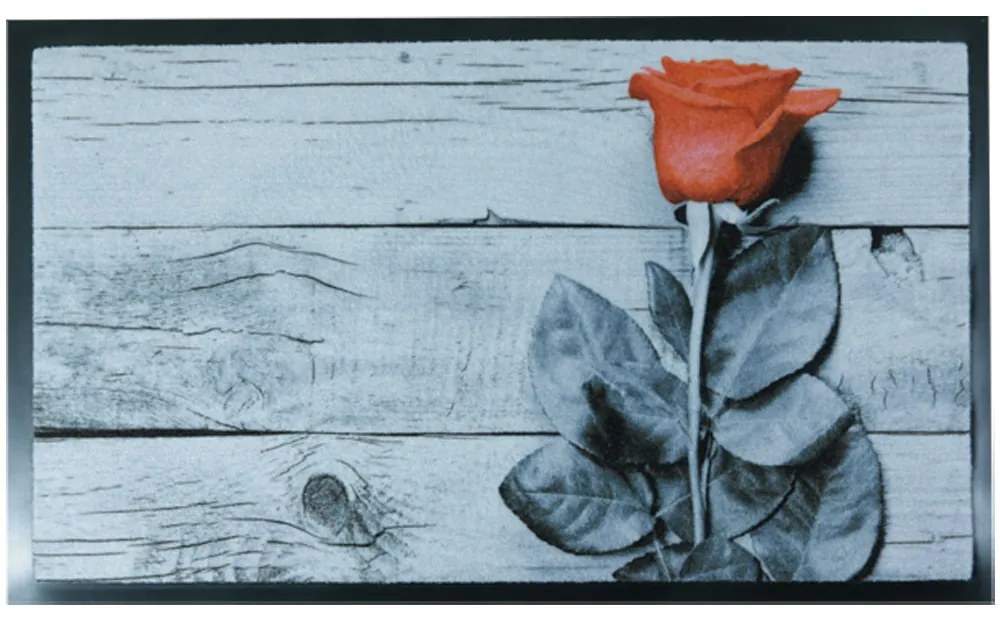 Πατάκι Εισόδου 45x75cm Rose SL8598 San Lorentzo 8598