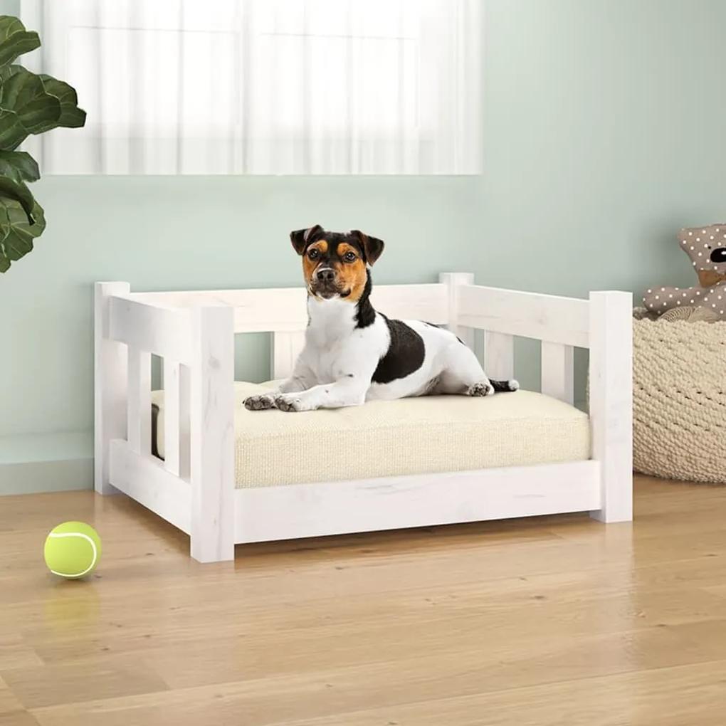 Κρεβάτι Σκύλου Λευκό 55,5 x 45,5 x 28 εκ. από Μασίφ Ξύλο Πεύκου