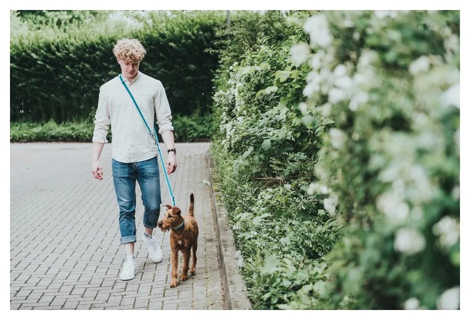 Λουρί Σκύλου Hunter HILO Μπλε (200 cm)