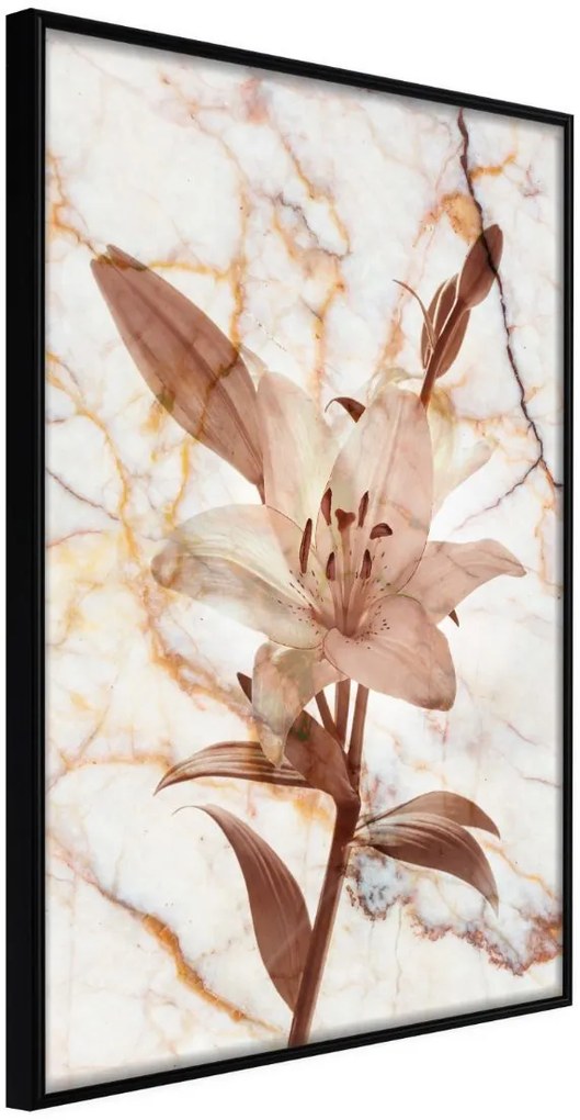 Αφίσα - Lily on Marble Background - 20x30 - Μαύρο - Χωρίς πασπαρτού