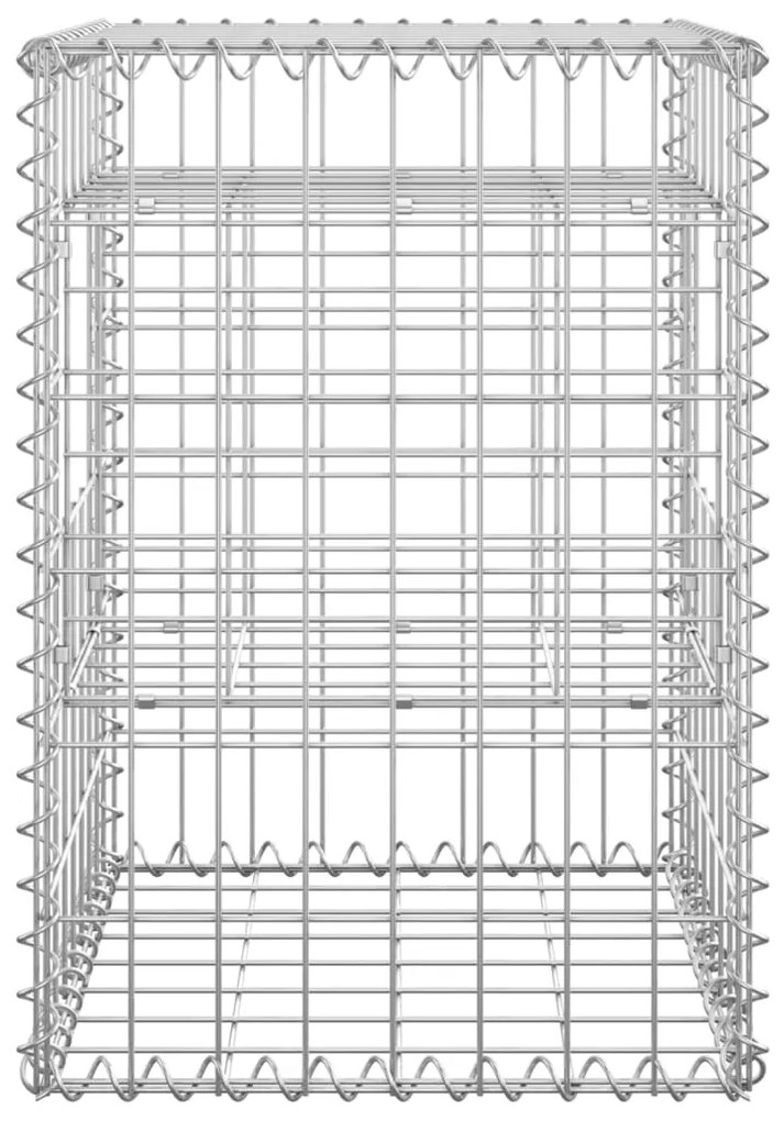 vidaXL Συρματοκιβώτια Στύλοι 2 τεμ. 40 x 40 x 60 εκ. Σιδερένιοι