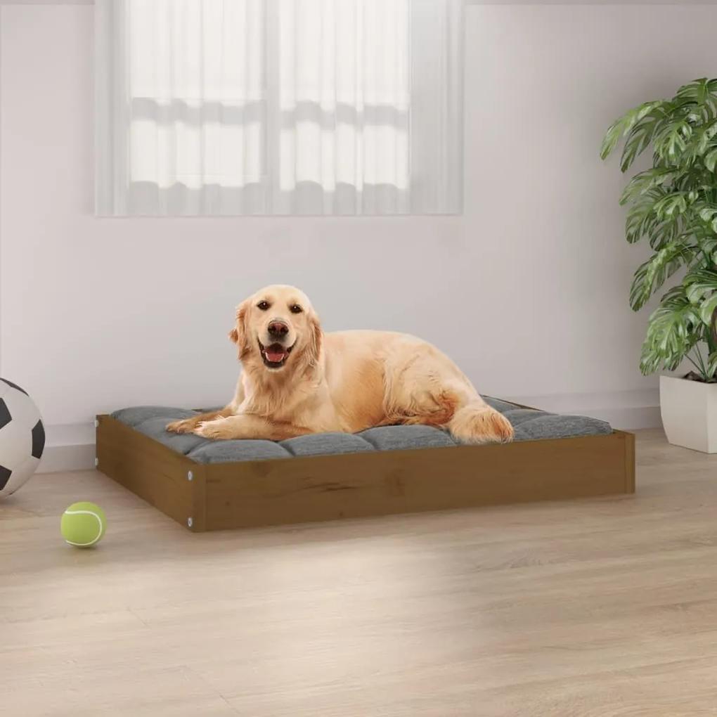 Κρεβάτι Σκύλου Μελί 71,5 x 54 x 9 εκ. από Μασίφ Ξύλο Πεύκου - Καφέ