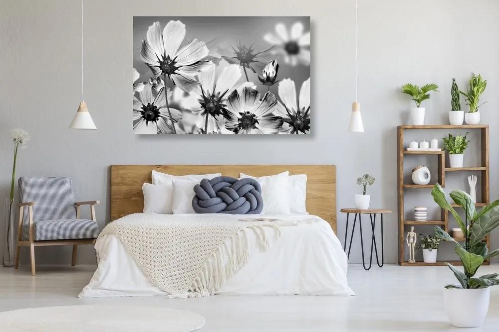 Εικόνα καλοκαιρινών λουλουδιών σε μαύρο & άσπρο - 90x60