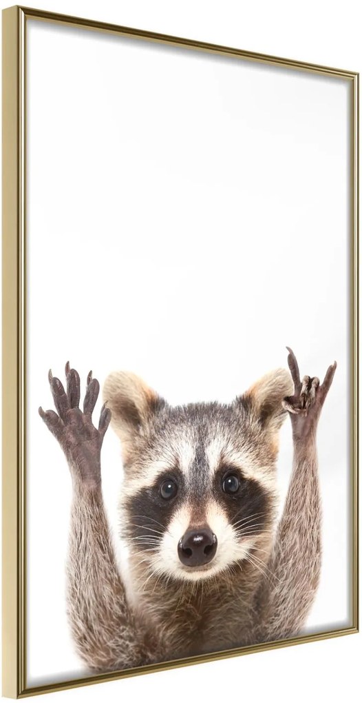 Αφίσα - Funny Racoon - 20x30 - Χρυσό - Χωρίς πασπαρτού