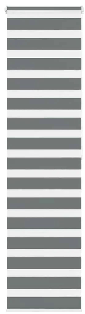 Ζέβρα τυφλή Σκούρο Γκρι Πλάτος υφάσματος 60,9 εκ. Πολυεστέρας