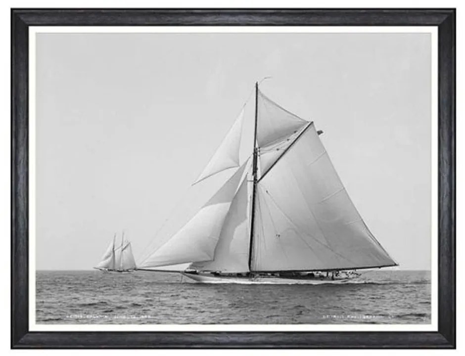 Κάδρο America’s Cup - Colonia 1895 FA13185 80X60 MindTheGap Οριζόντιοι Wood