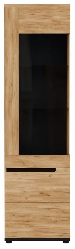 Βιτρίνα Orlando V105, Μαύρο, Craft χρυσή βελανιδιά, Με πόρτες, Ο αριθμός των θυρών: 2, 192x55x40cm | Epipla1.gr
