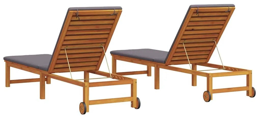vidaXL Ξαπλώστρα 2 pcs Καφέ 53 x 202 x 89εκ Μασίφ ξύλο ακακίας