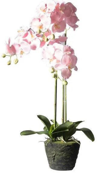 Τεχνητό Φυτό Ορχιδέα Phalaenopsis Real Touch Ροζ με Βάση Moss 85 εκ. 4170-6 Supergreens-4170-6-Ροζ 4170-6