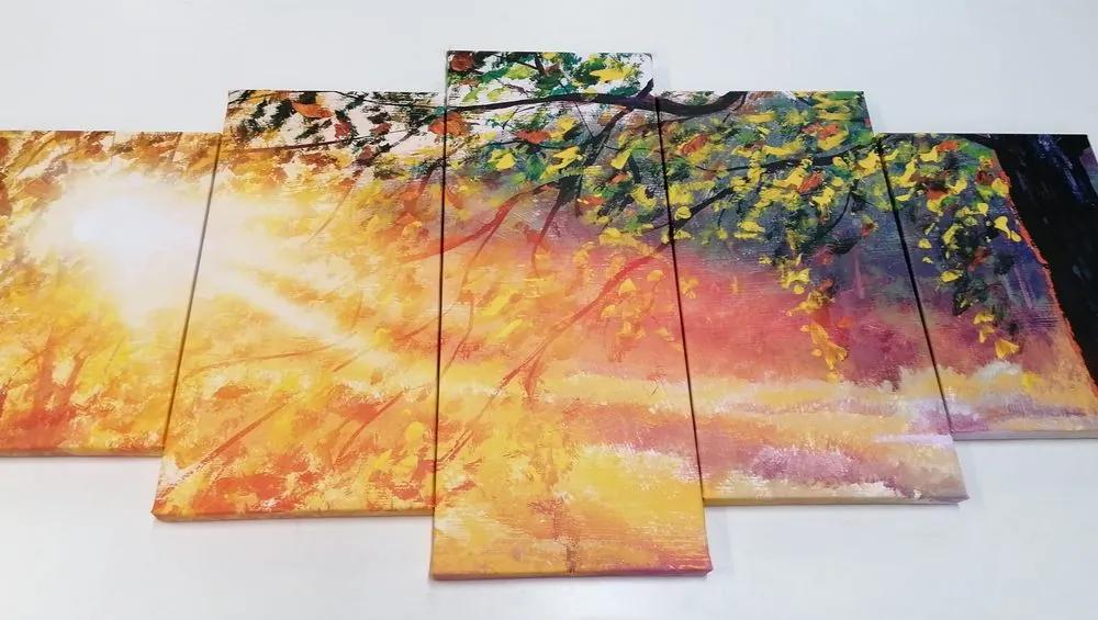 Εικόνα 5 μερών της ανατολής του ηλίου στο δάσος - 100x50