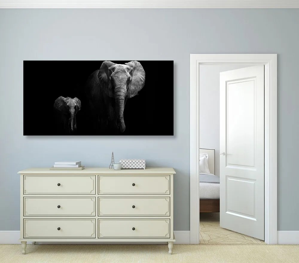 Εικόνα ενός μικρού ελέφαντα και ενός ελέφαντα - 100x50