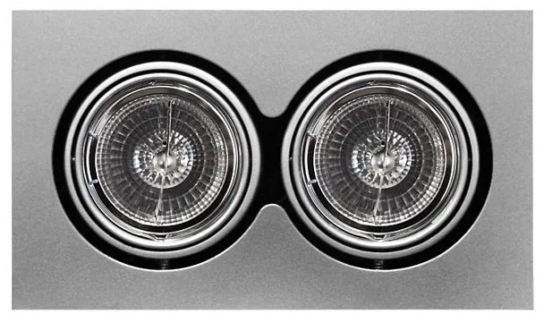 Adeleq Φωτιστικό Ψευδοροφής Ar111 2x50W Με Λάμπα Γκρι 3-122006