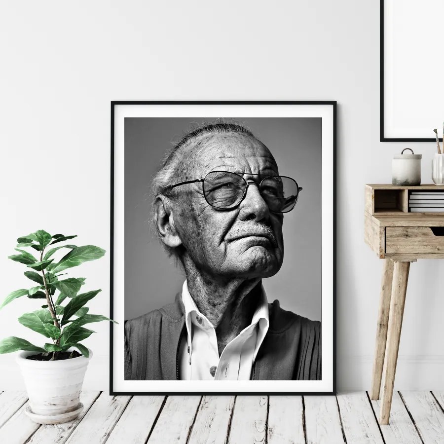 Πόστερ &amp; Κάδρο Stan Lee PRT042 30x40cm Εκτύπωση Πόστερ (χωρίς κάδρο)