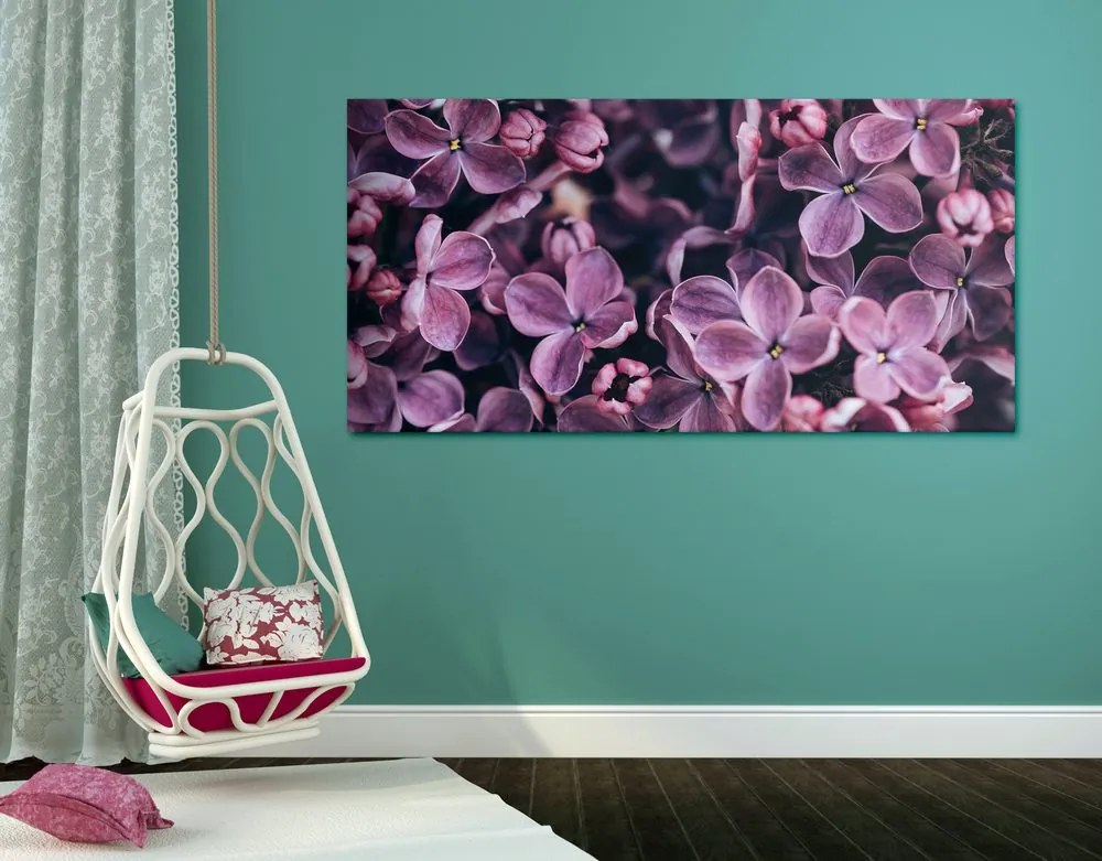 Εικόνα μωβ λιλά λουλούδια - 100x50