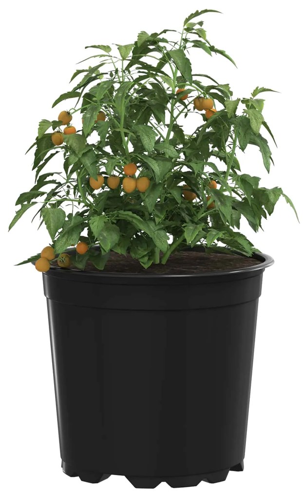 vidaXL Γλάστρα Λουλουδιών 100 pcs Μαύρο Ø 15 x 12.5 εκ. Πλαστικό