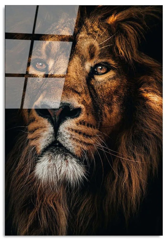 Πίνακας Γυάλινος 123BZM1222 70x100cm Multi Wallity Κάθετοι Glass
