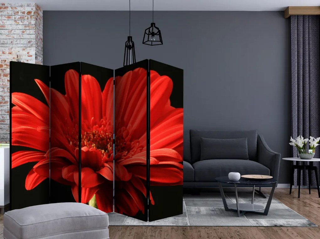 Διαχωριστικό με 5 τμήματα - Red gerbera flower II [Room Dividers]